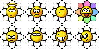 flower-smilies-snap.gif