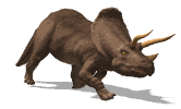 triceratopo.gif