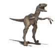 velociraptor.gif